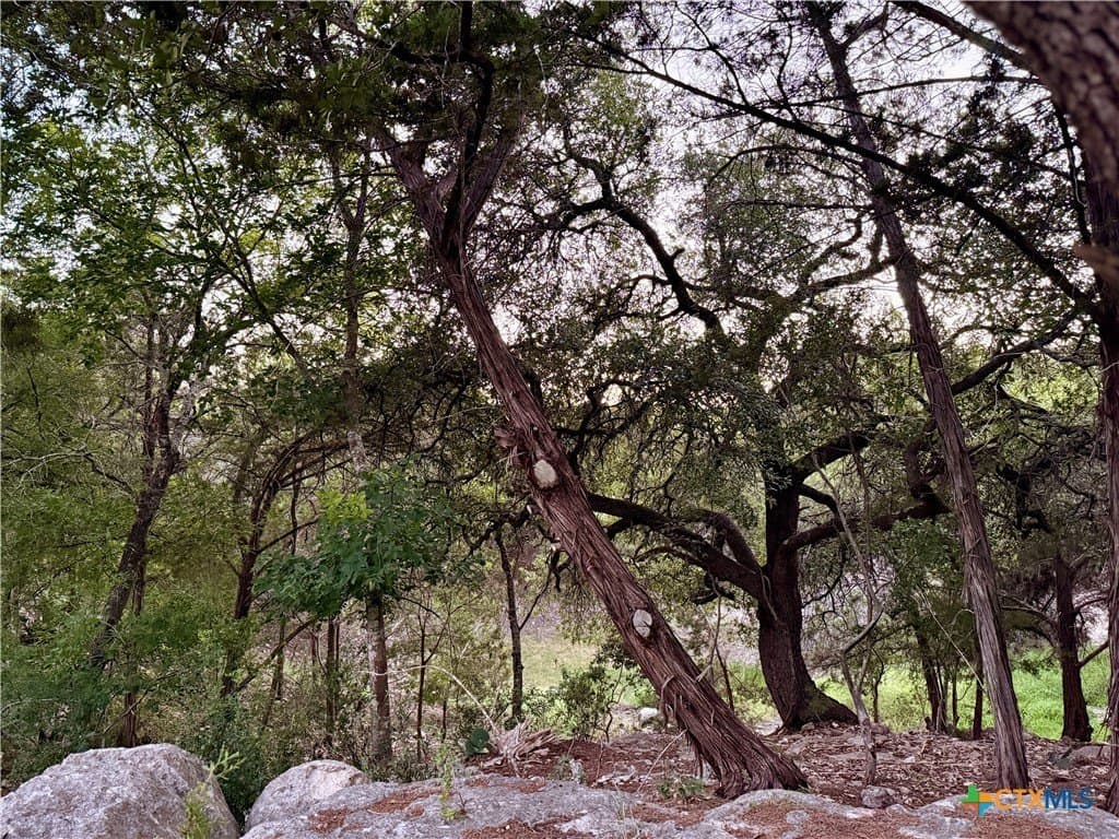 2 acres in Comal County - photo 2