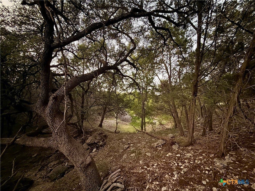 2 acres in Comal County - photo 6