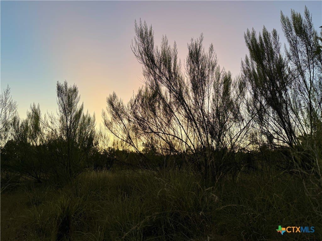 2 acres in Comal County - photo 11
