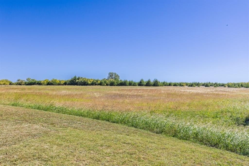 12 acres in Fannin County - photo 27