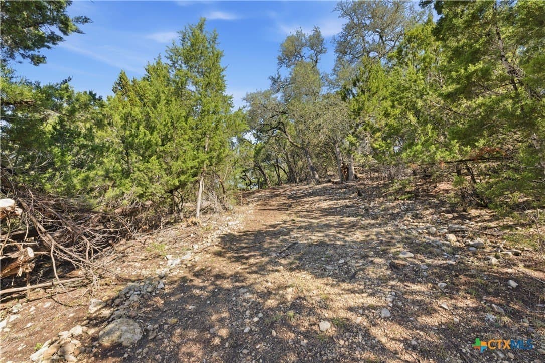 0.81 acres in Comal County - photo 5