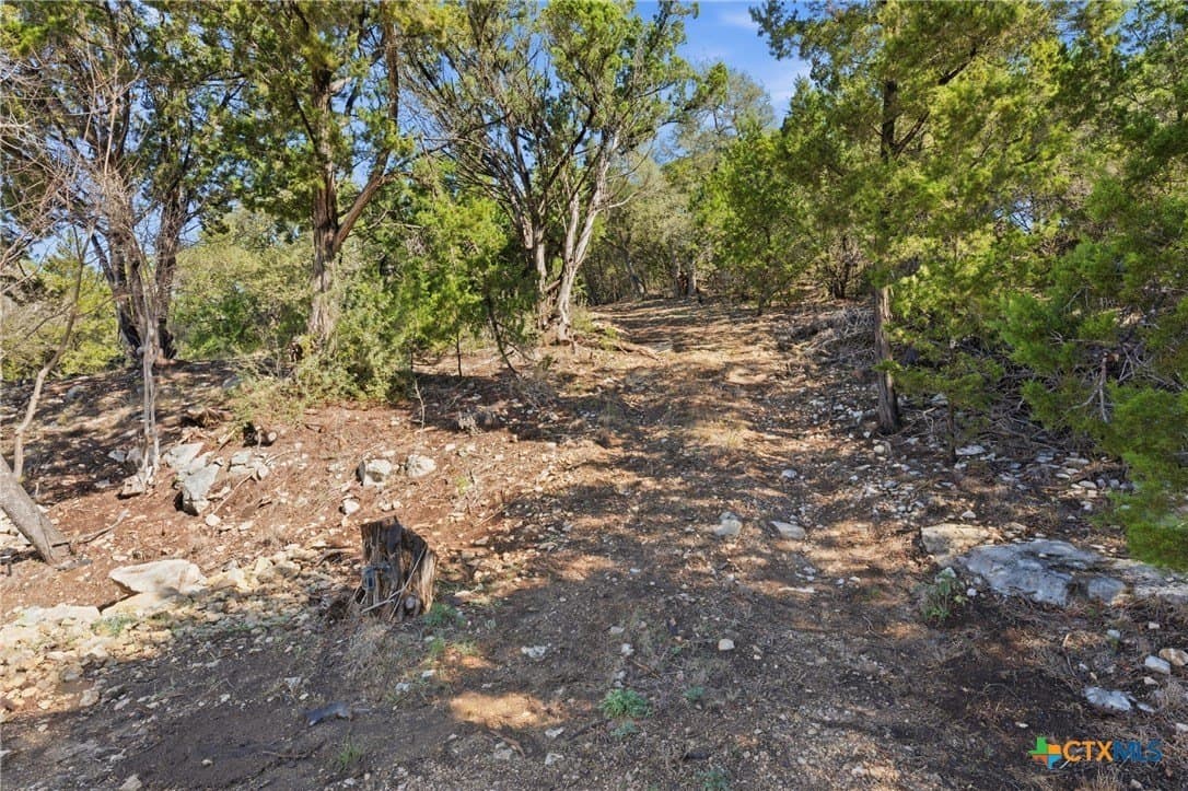 0.81 acres in Comal County - photo 3