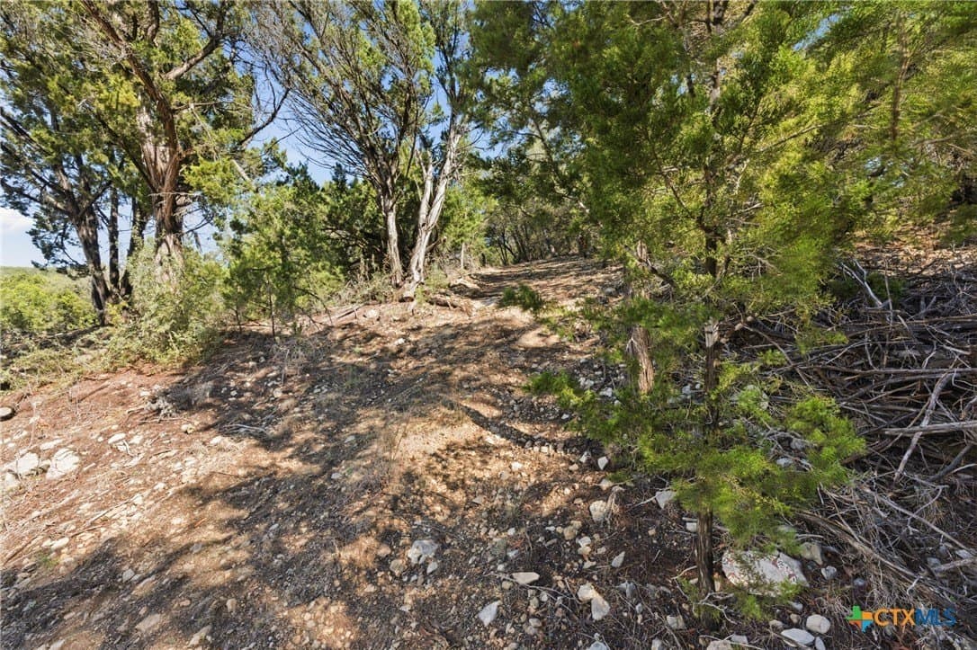0.81 acres in Comal County - photo 4