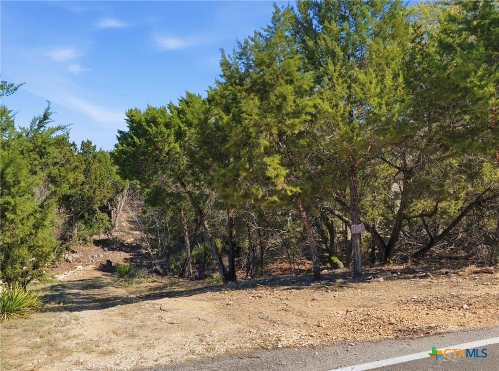0.81 acres in Comal County - photo 2