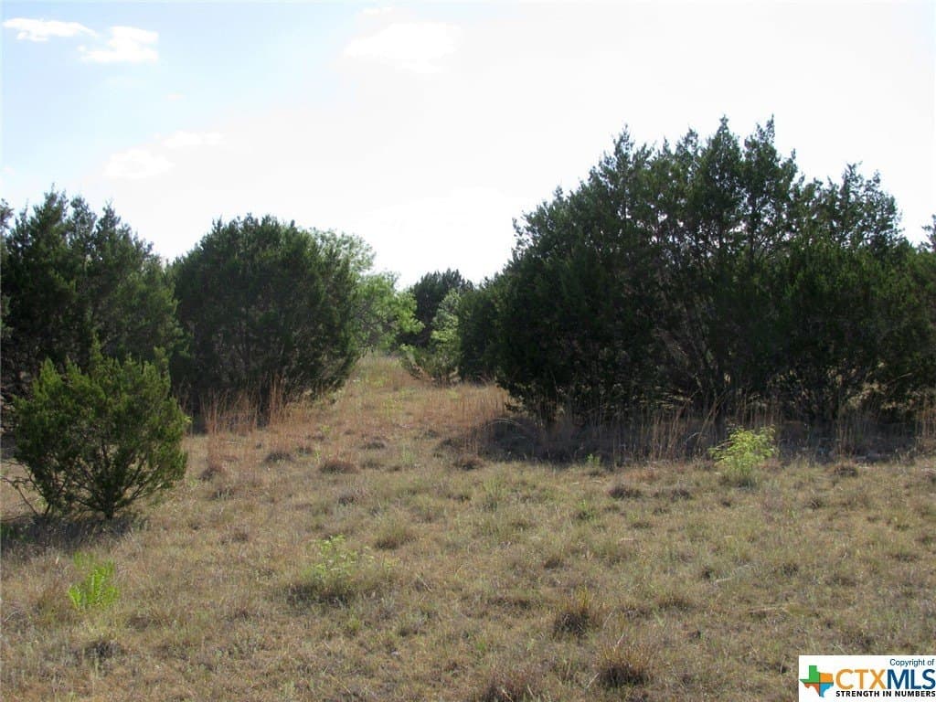 10.01 acres in Hamilton County - photo 6
