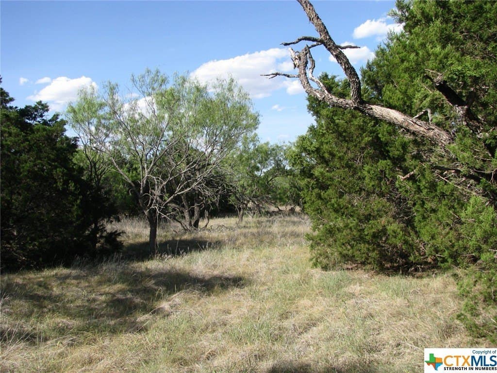 10.01 acres in Hamilton County - photo 8