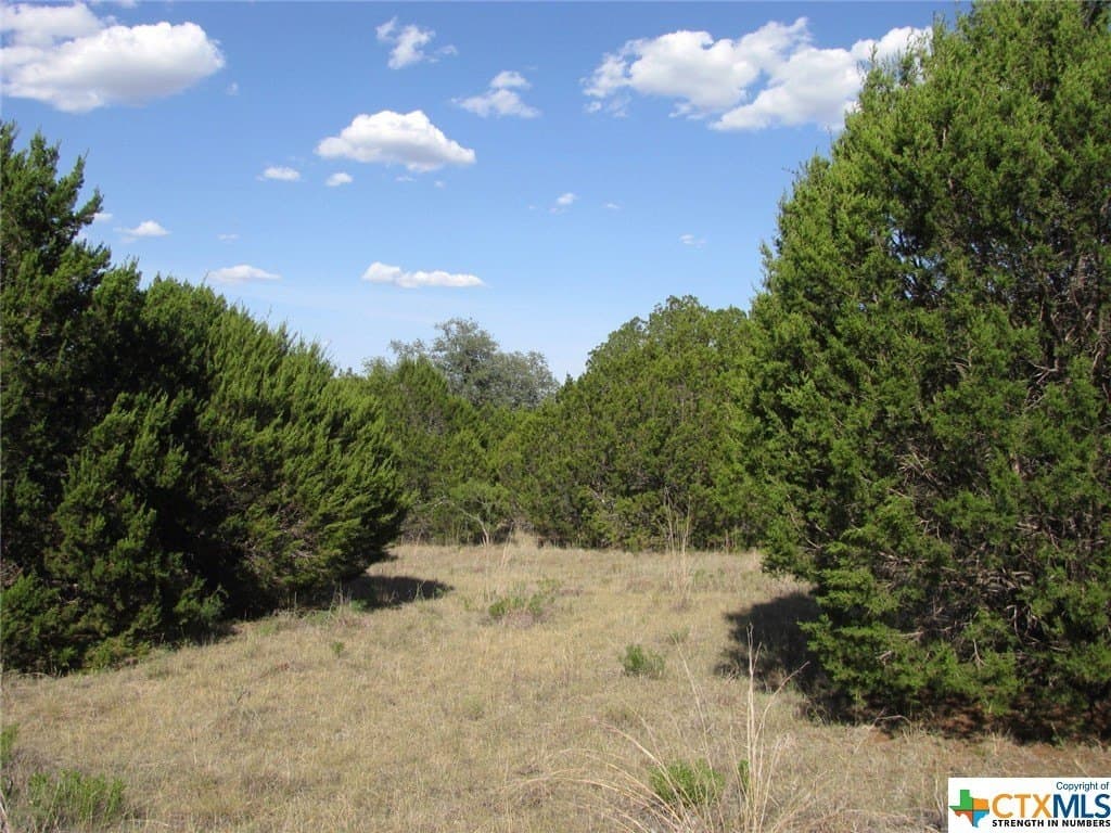 10.01 acres in Hamilton County - photo 9
