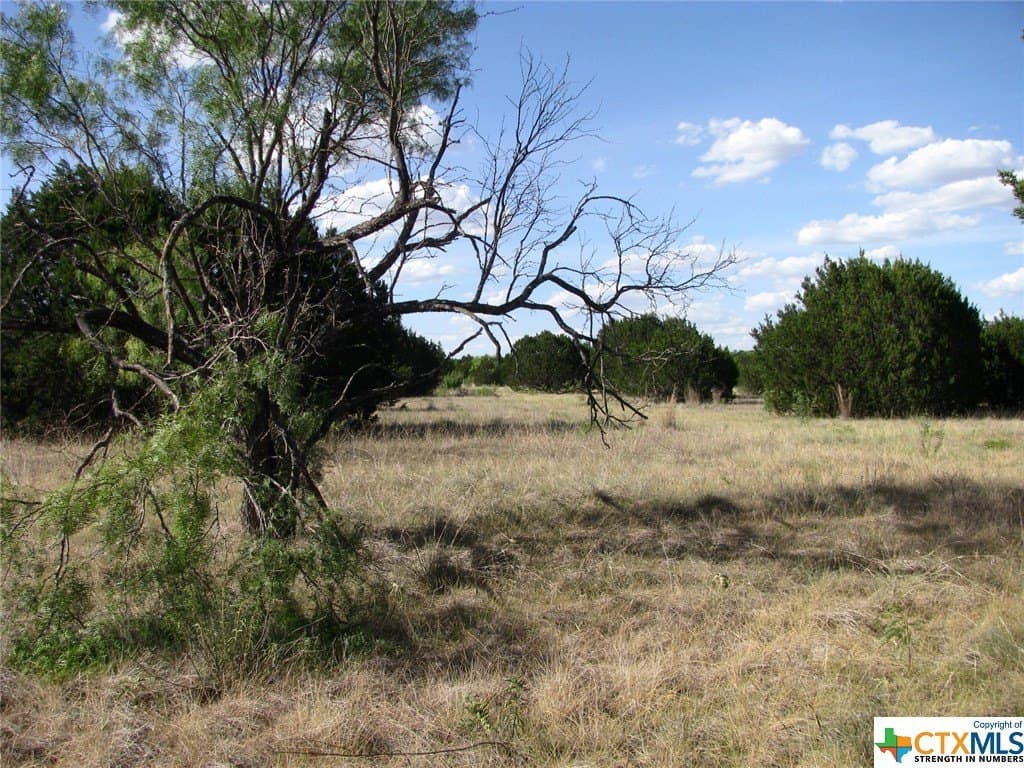 10.01 acres in Hamilton County - photo 7