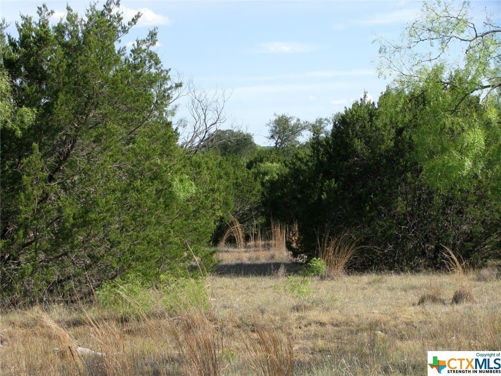 10.01 acres in Hamilton County - photo 3