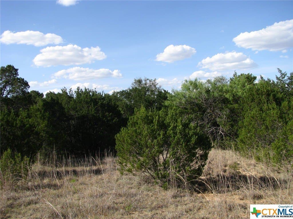 10.01 acres in Hamilton County - photo 10