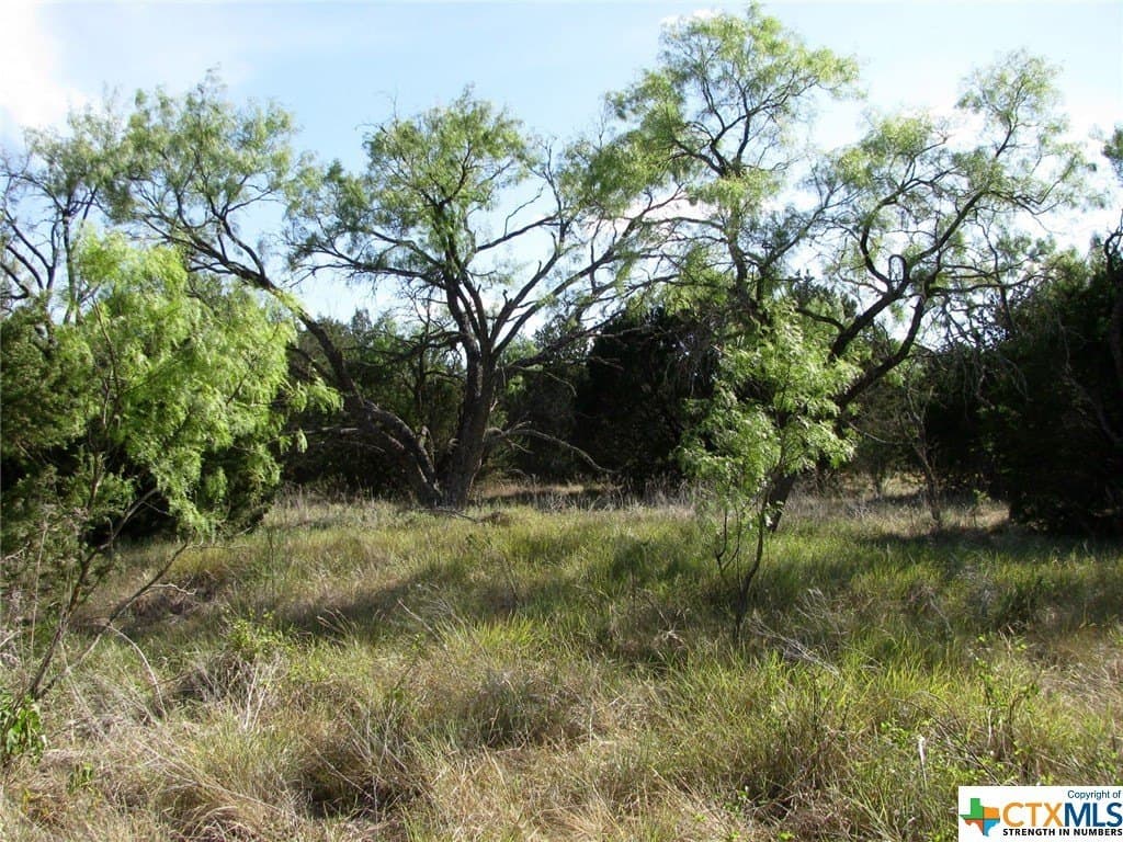 10.01 acres in Hamilton County - photo 2