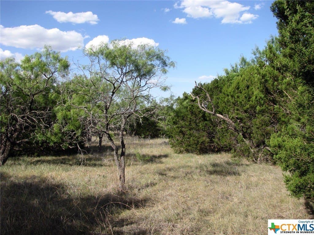 10.01 acres in Hamilton County - photo 13