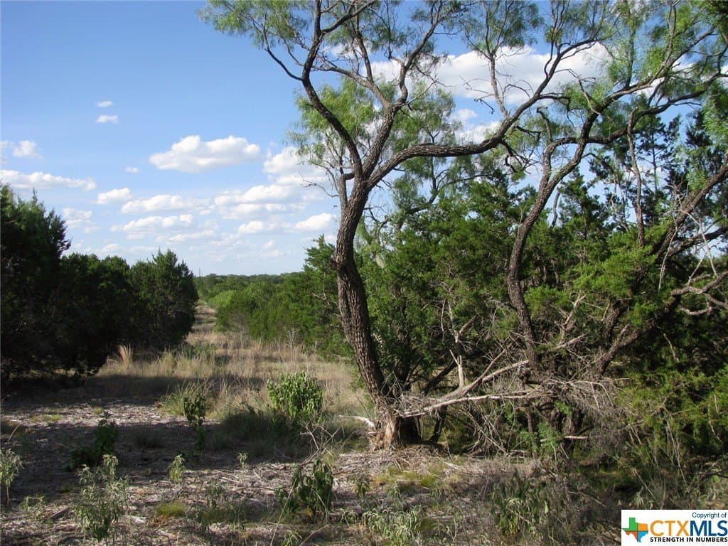 10.01 acres in Hamilton County - photo 11