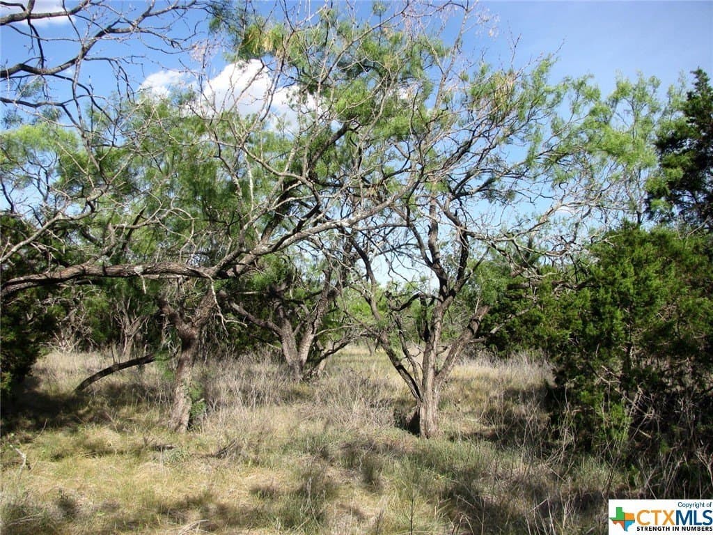 10.01 acres in Hamilton County - photo 4