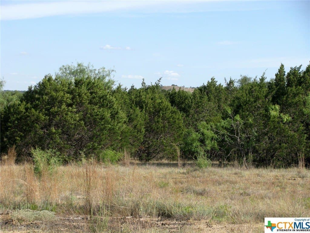 10.01 acres in Hamilton County - photo 15
