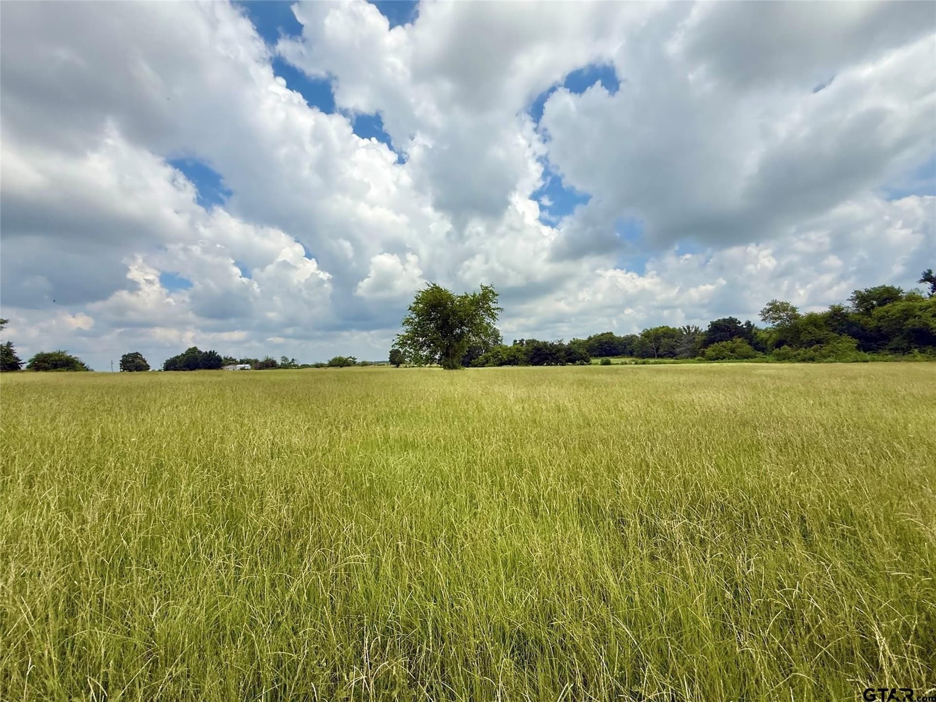 15.11 acres in Hopkins County - photo 5