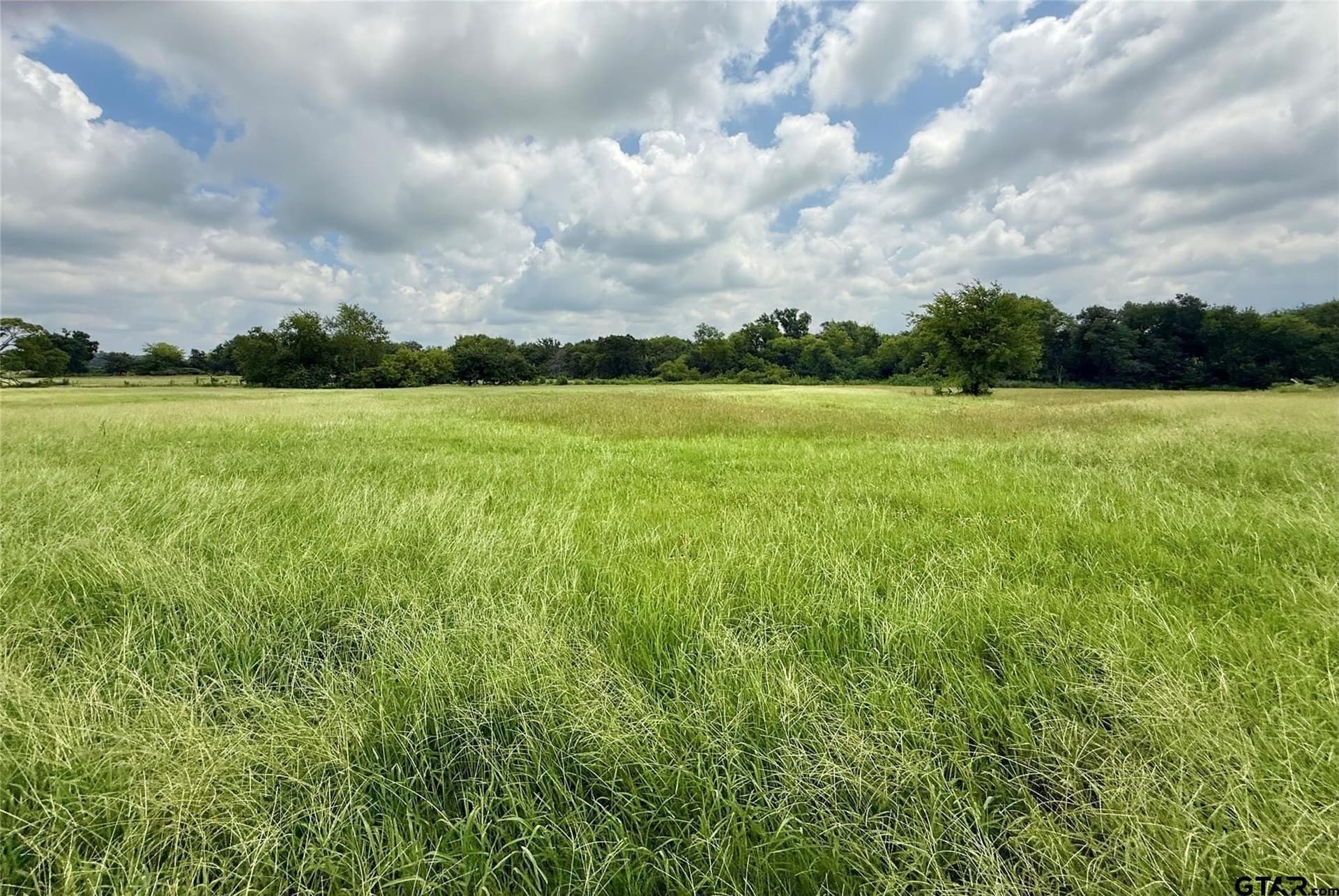 15.11 acres in Hopkins County - photo 4