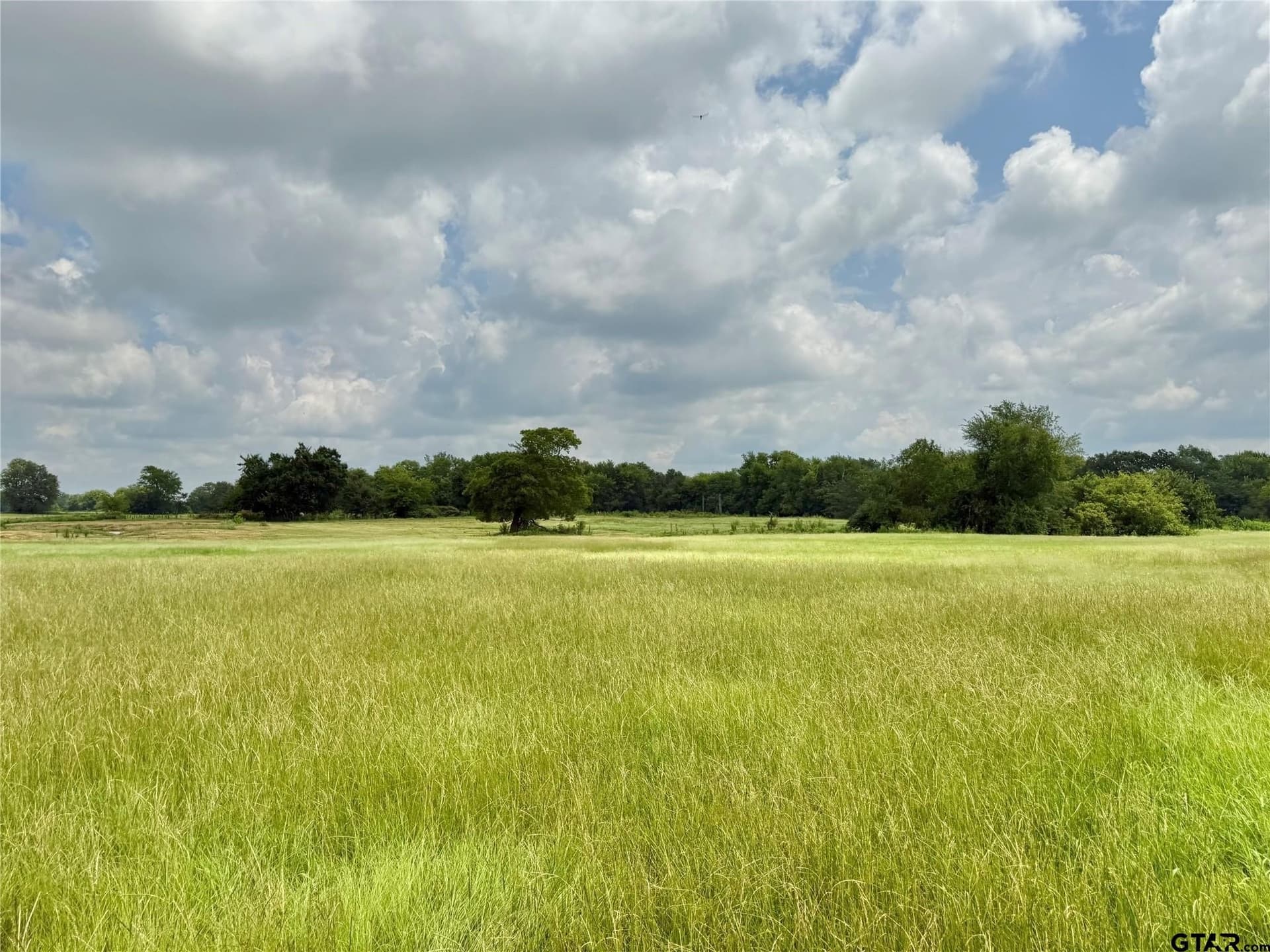 15.11 acres in Hopkins County - photo 3