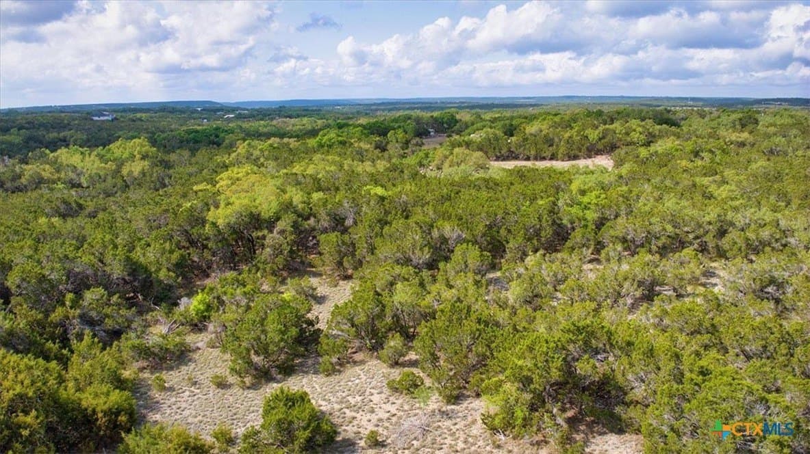 12.5 acres in Travis County - photo 5