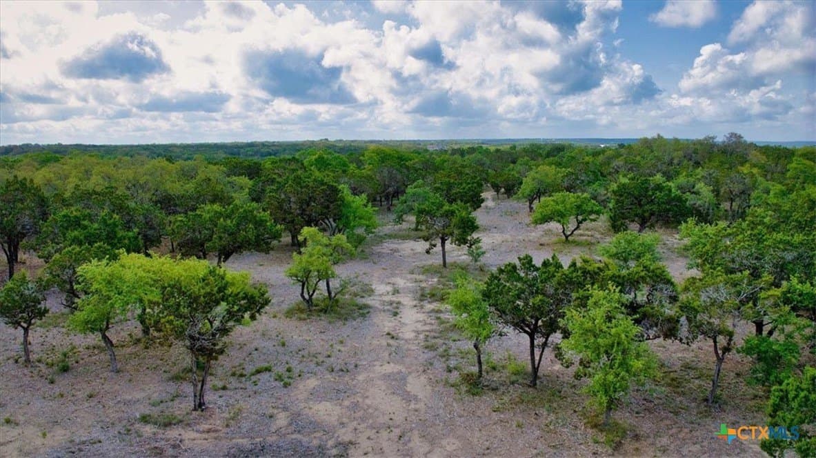 12.5 acres in Travis County - photo 4