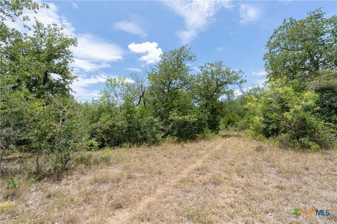 135.45 acres in Caldwell County - photo 5