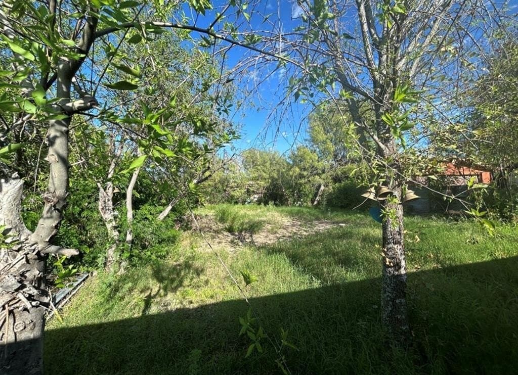 7,500 acres in Maverick County - photo 15