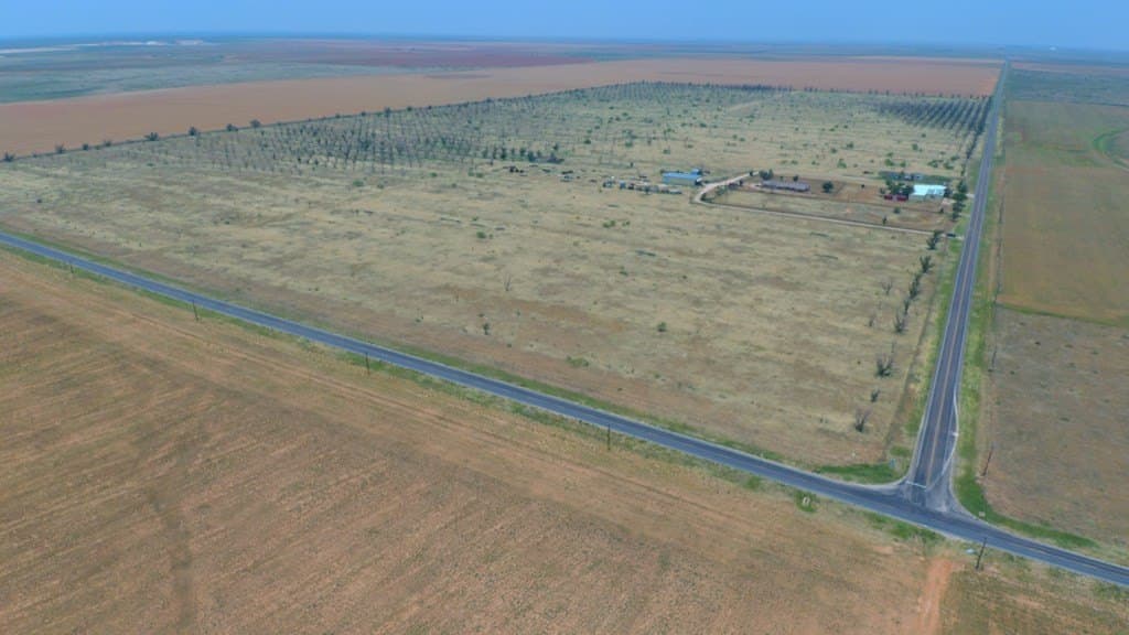 25 acres in Dawson County - photo 3