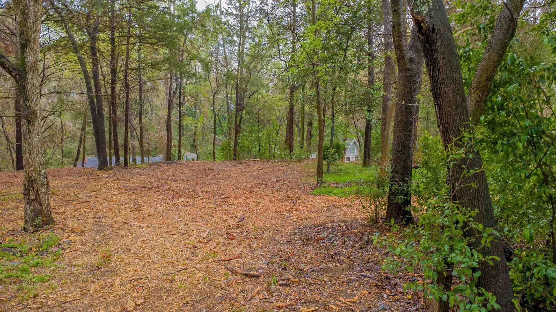 0.41 acres in Smith County - photo 11