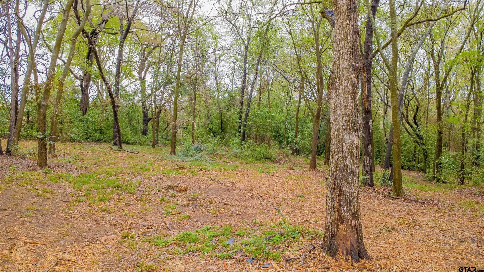 0.41 acres in Smith County - photo 6