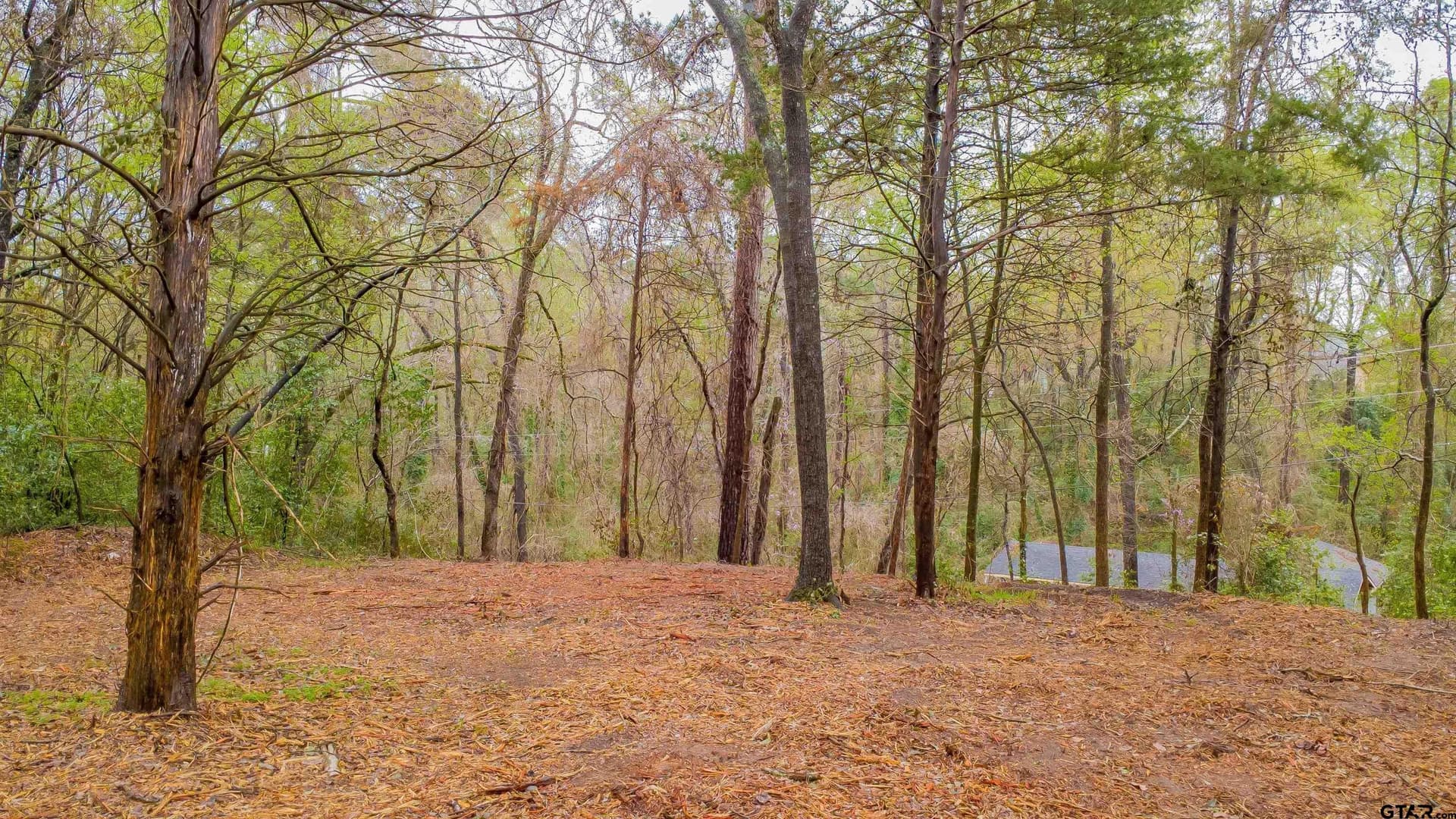 0.41 acres in Smith County - photo 8