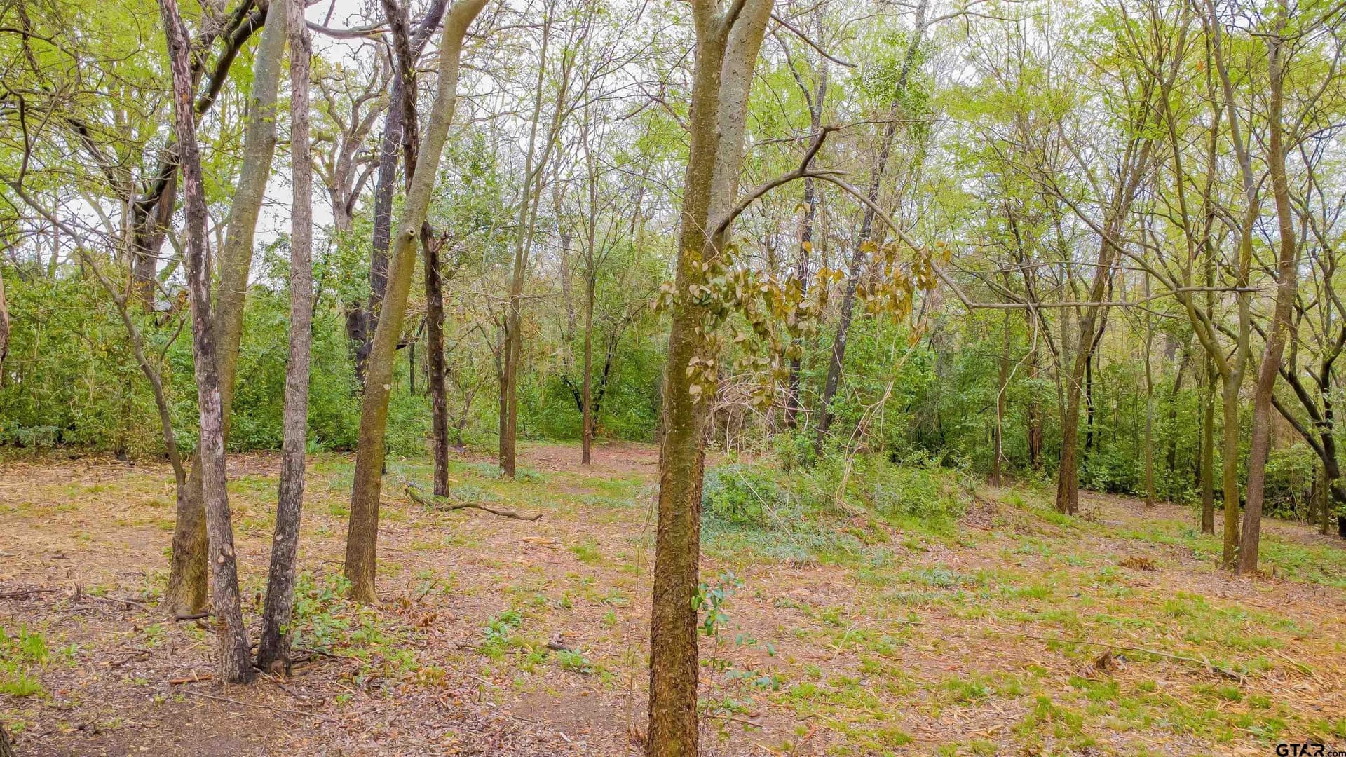 0.41 acres in Smith County - photo 9