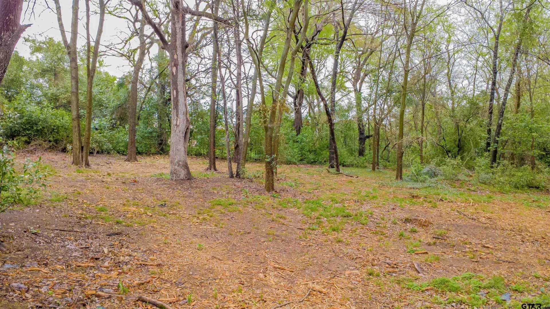 0.41 acres in Smith County - photo 5