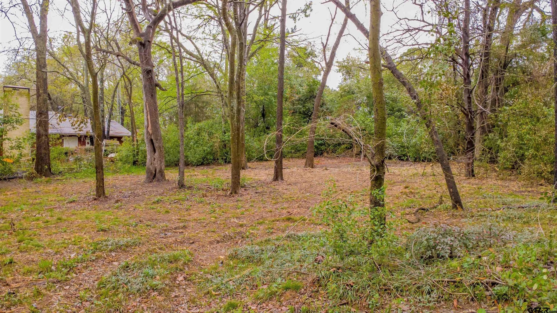 0.41 acres in Smith County - photo 14