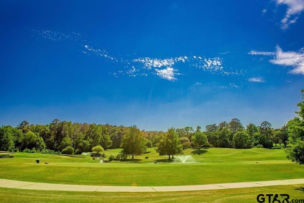 0.41 acres in Smith County - photo 33