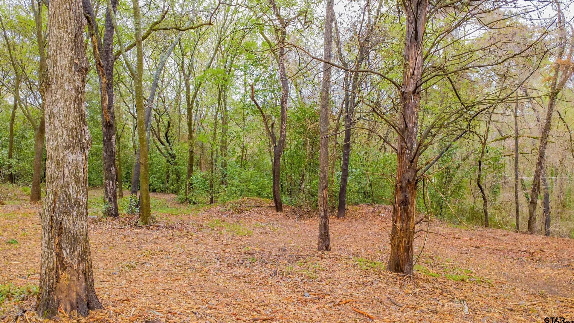 0.41 acres in Smith County - photo 7