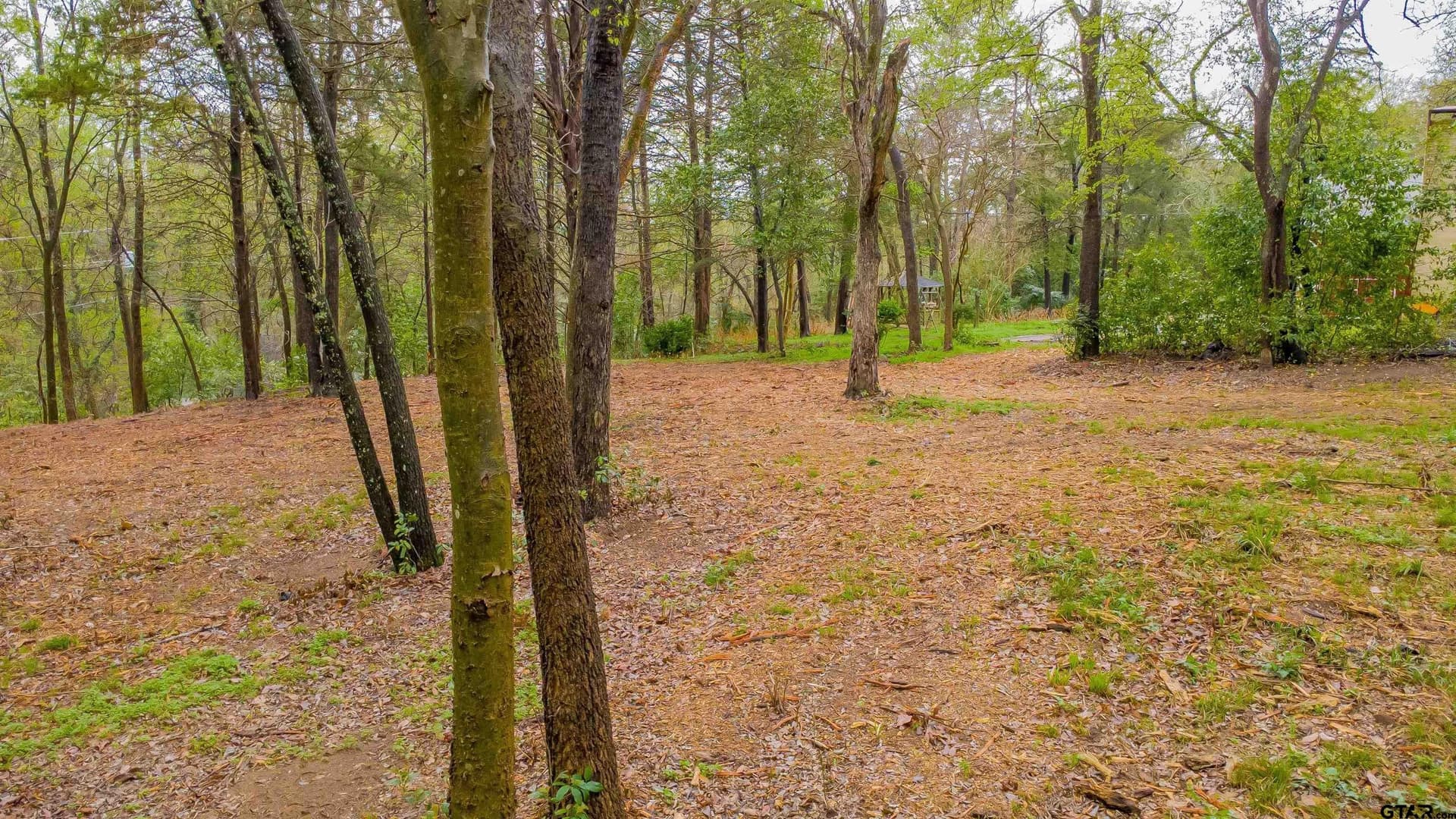 0.41 acres in Smith County - photo 13