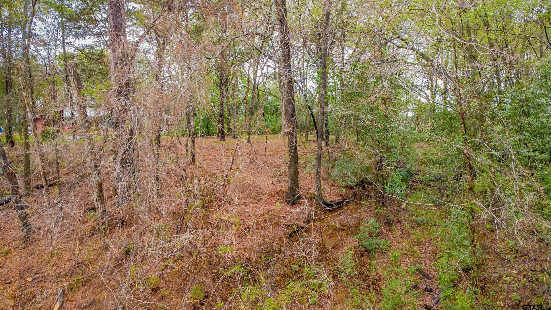 0.41 acres in Smith County - photo 2