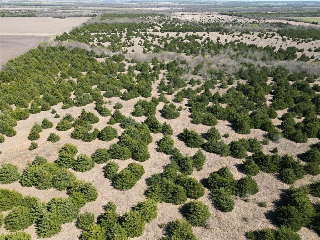 41 acres in Fannin County - photo 9
