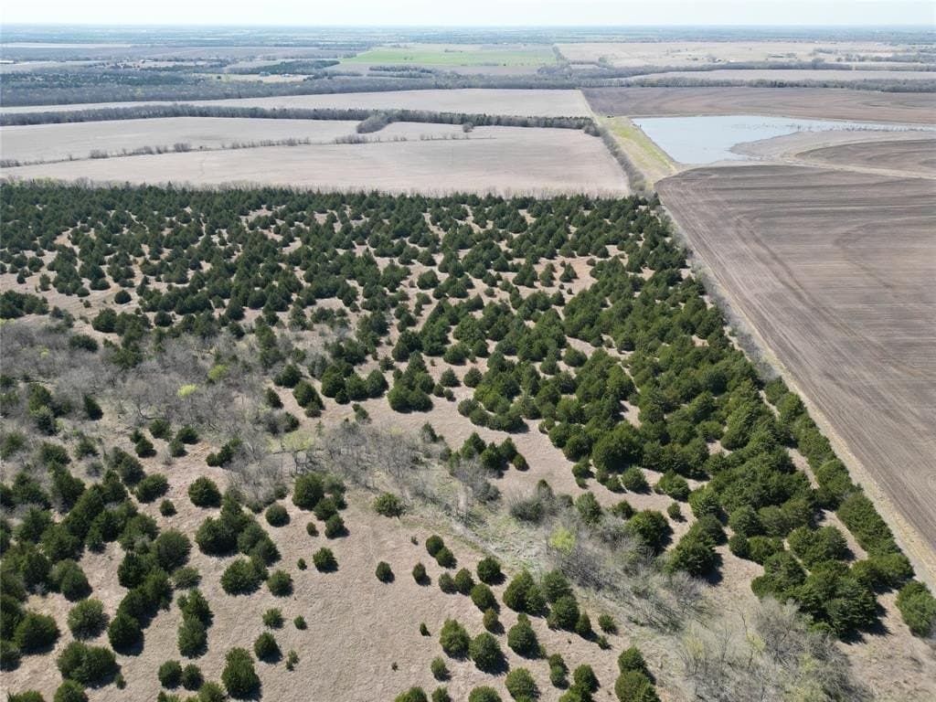 41 acres in Fannin County - photo 5