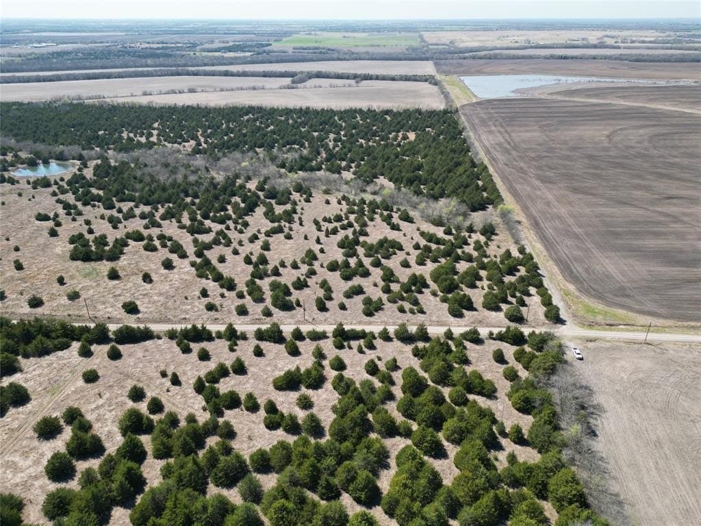 41 acres in Fannin County - photo 4