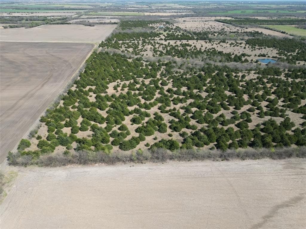41 acres in Fannin County - photo 8
