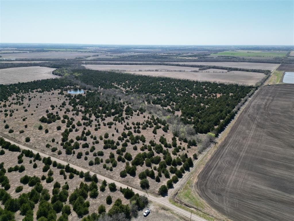 41 acres in Fannin County - photo 2