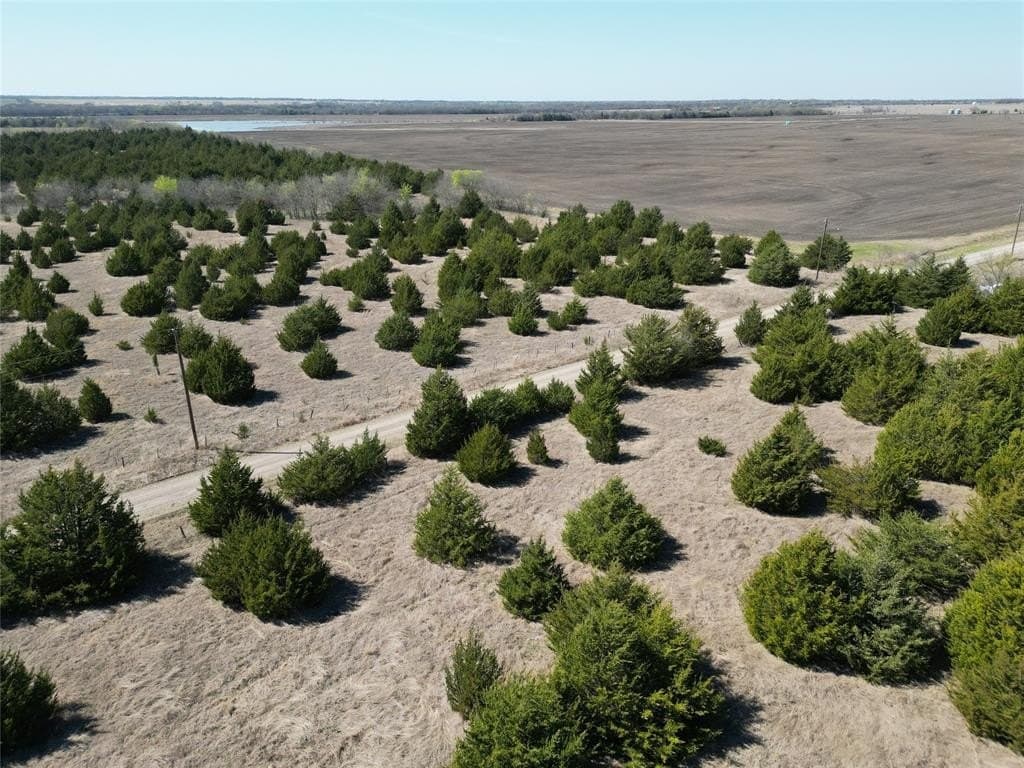 41 acres in Fannin County - photo 14