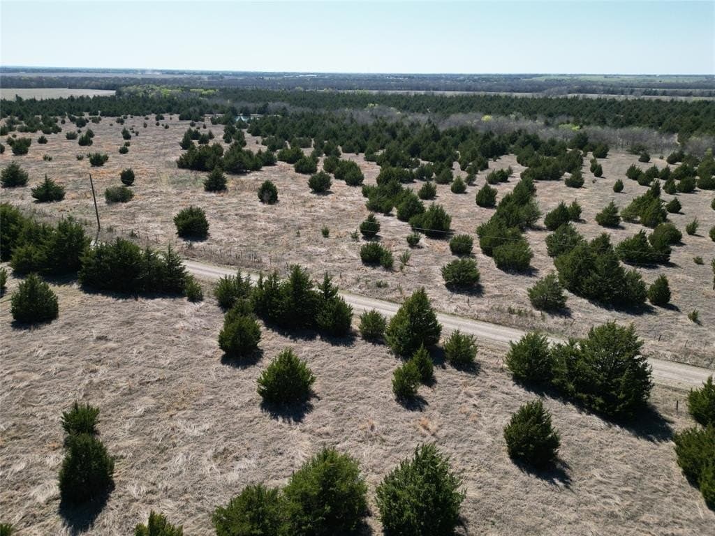 41 acres in Fannin County - photo 13
