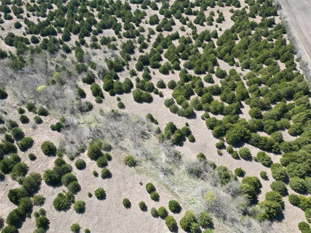 41 acres in Fannin County - photo 6