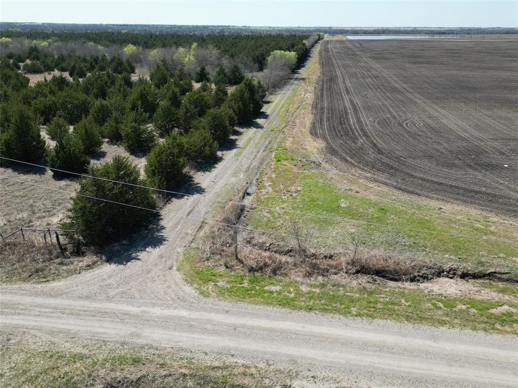 41 acres in Fannin County - photo 17
