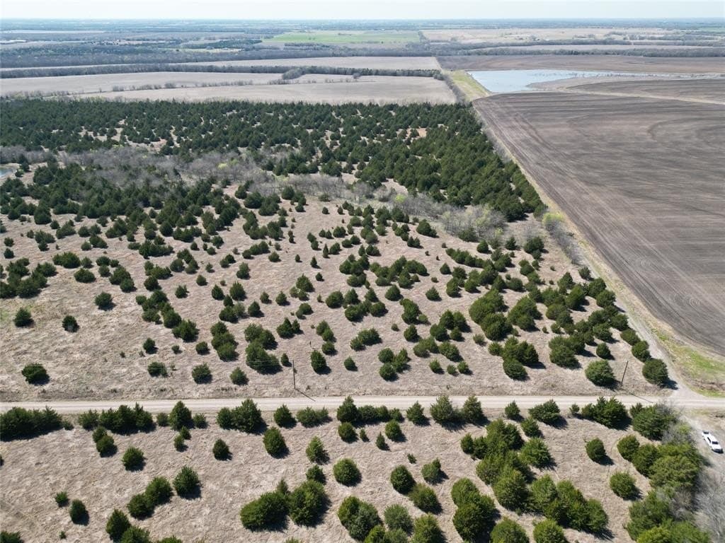 41 acres in Fannin County - photo 3