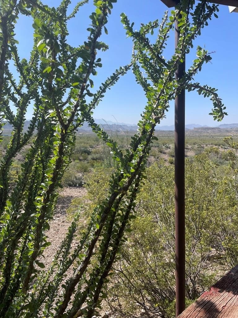 30 acres in Brewster County - photo 7