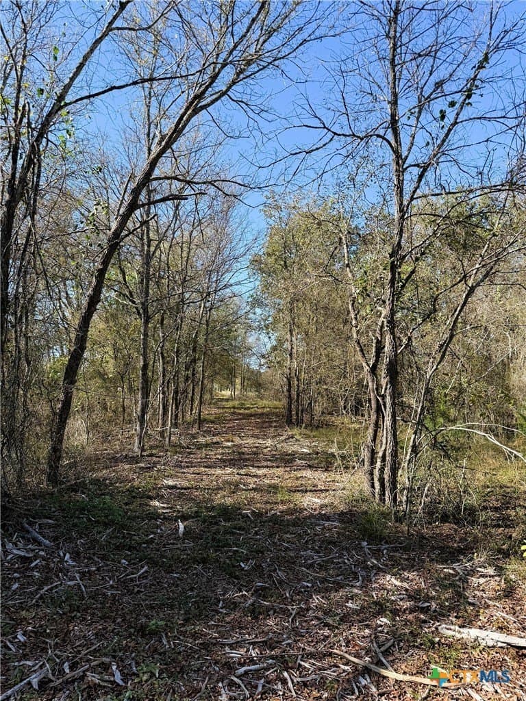 29.5 acres in Robertson County - photo 44