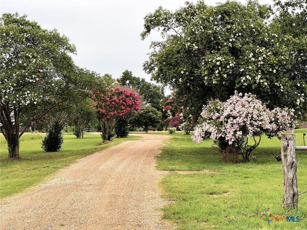 29.5 acres in Robertson County - photo 40